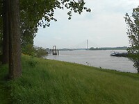 DSCN4245