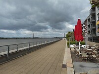 DSCN4246