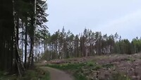 VID-20240510-WA0011