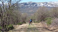 IMG-20240517-WA0036