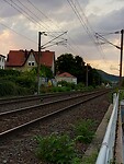 1000024401