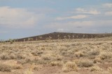 Yoshua Trees in Death Valley