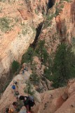 trail van Scout's Overlook naar Angel's Landing