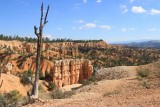 Bryce Canyon