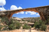 Owachomo Bridge in Natural Bridges National Monument