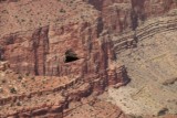 Kalkoengier (Turkey Vulture) boven de Grand Canyon