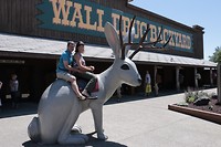 Jackalope met passagiers in Wall Drug Store