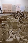 een deel van de 61 mammoets die op de mammoetsite werden gevonden