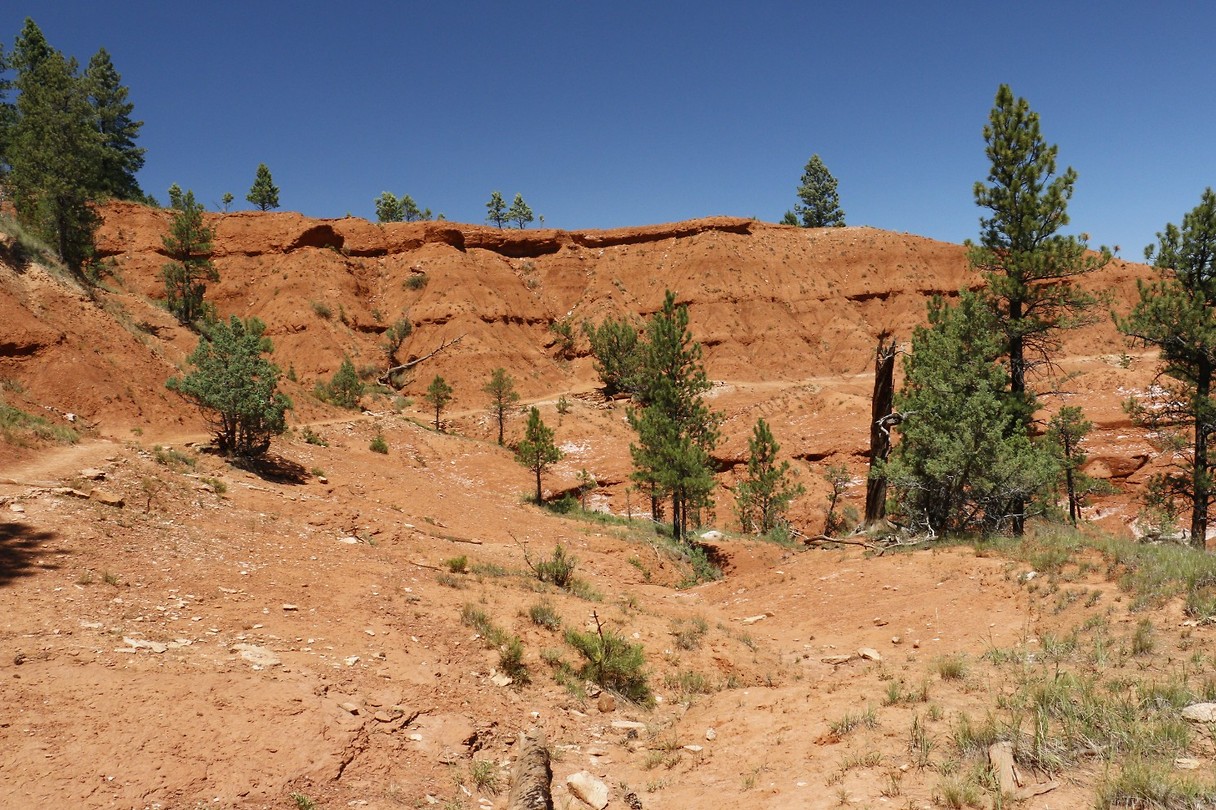De Red Beds aan Devils Tower