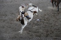 Rodeo in  Cody