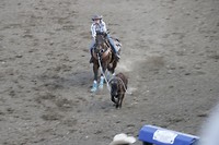 Rodeo in Cody