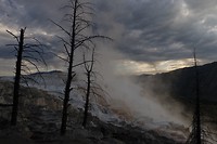 Mammoth Hot Springs 's ochtends