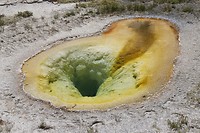 Belgian Pool