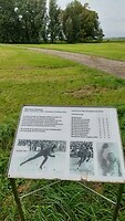 12 Irnsum Attje Keulen Deelstra