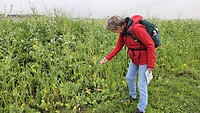 1000049027