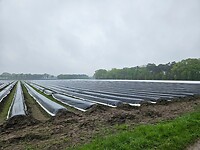 20250424_100556