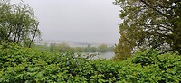 IMG-20250424-WA0010