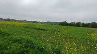 dag 2 van Roosteren tot Eijsden (23)