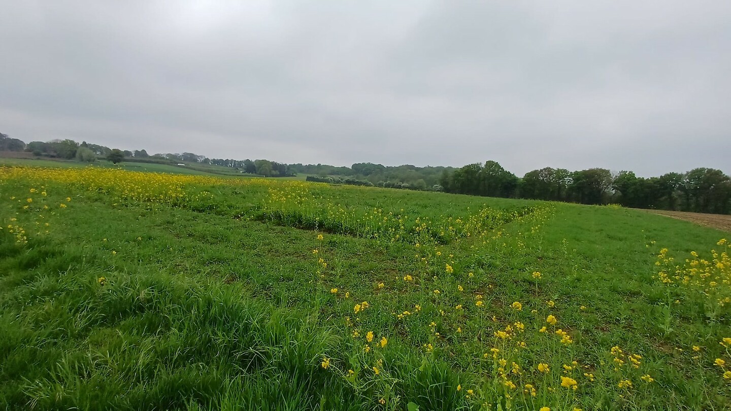 dag 2 van Roosteren tot Eijsden (23)