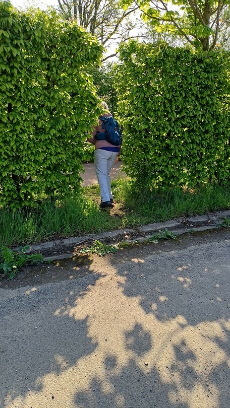dag (0)