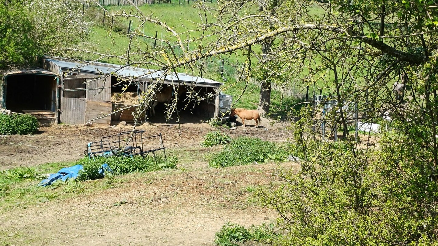 dag 3 (25)