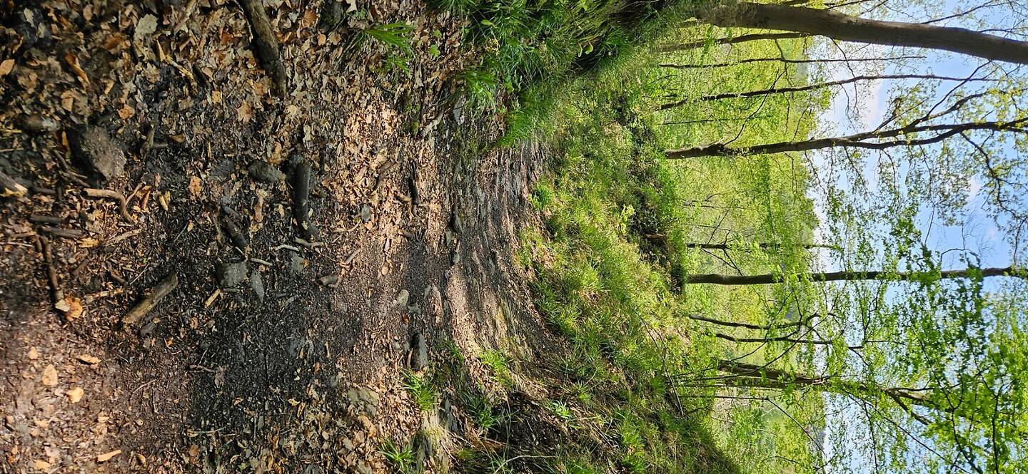 dag 3 (29)