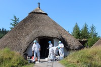 Welkom in smurfenland