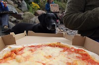 Look at that dog (and the pizza duuhh)