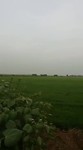 Backwaters 1