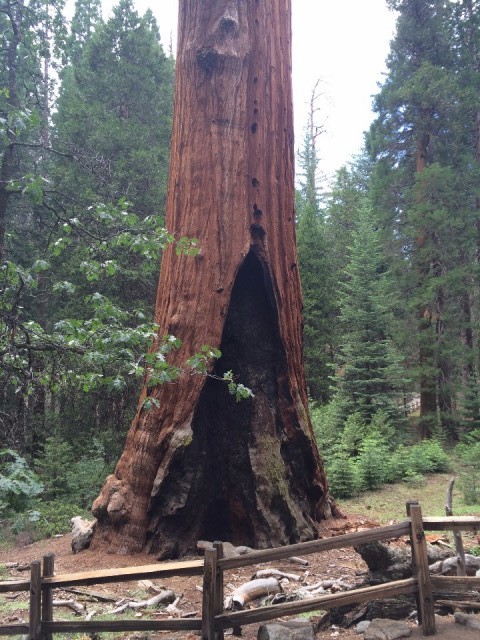 Kings Canyon NP