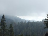 Kings Canyon NP