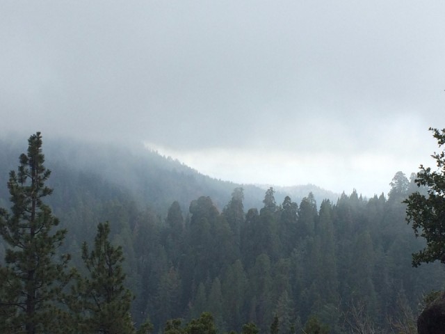 Kings Canyon NP