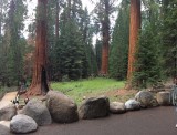 Kings Canyon NP