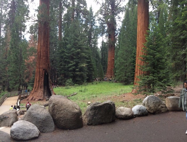 Kings Canyon NP