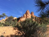 Trailride Red Canyon