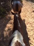 Trailride Red Canyon