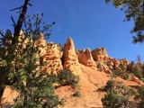 Trailride Red Canyon