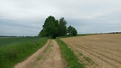 20160522_104815