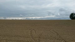 20160522_104800