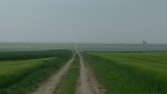 De kathedraal zou in zicht moeten zijn