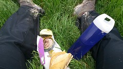mijn laatste picknicklunch