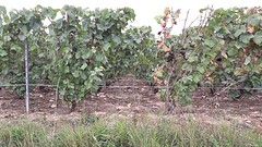 20160929_124428