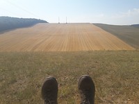 20180715_100630