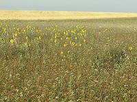 20180717_091444