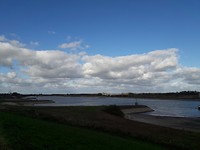 De Rijn net voorbij Millingen