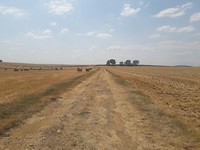 20190726_144642