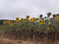 20190727_111007
