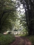 20190727_124515