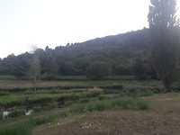 20190728_203014