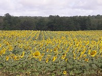 20190731_103448